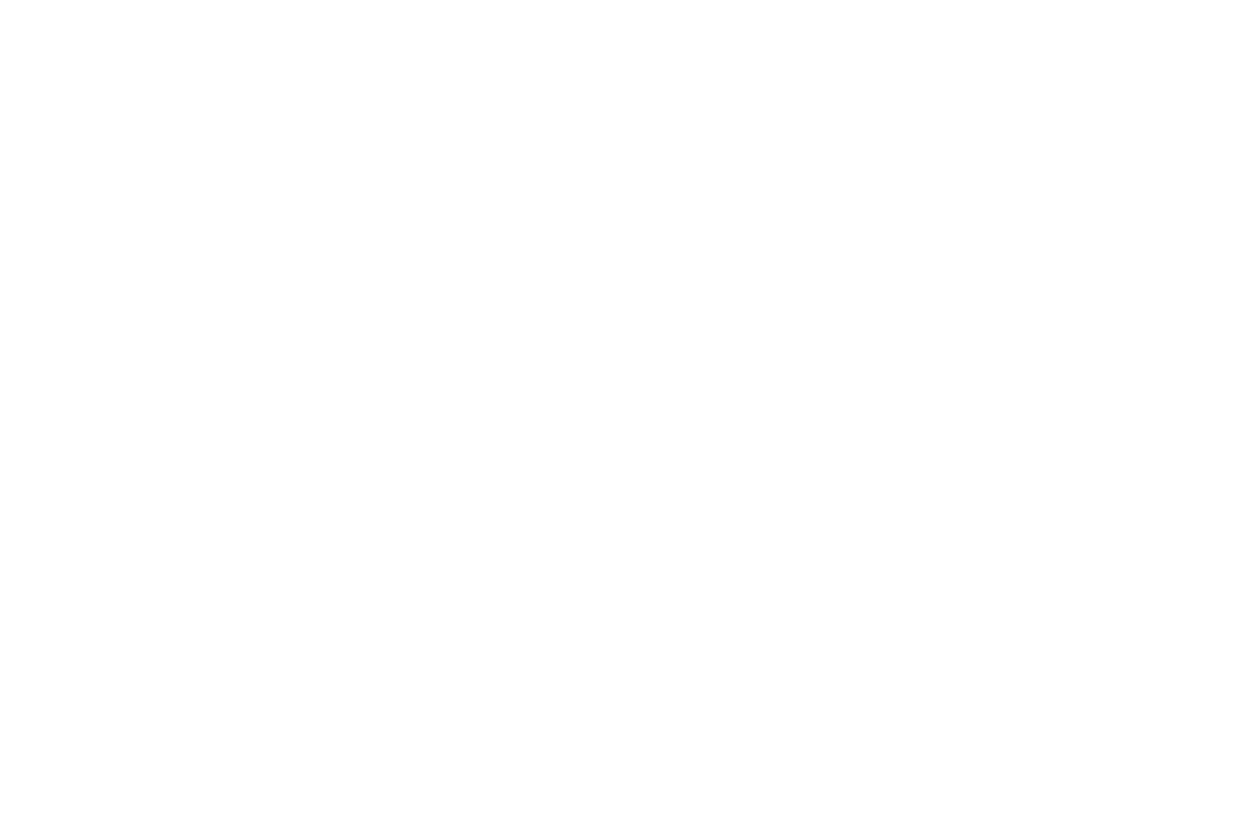 2723 Hoops
